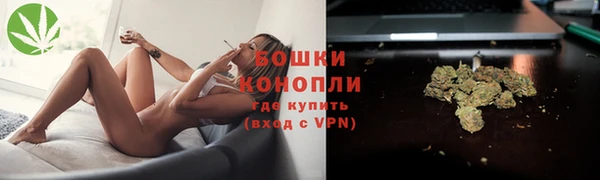 бошки Новозыбков