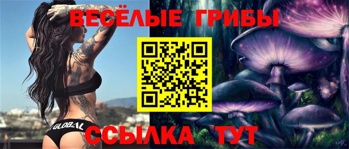Галлюциногенные грибы ЛСД Долгопрудный