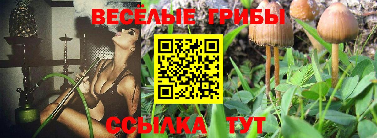 Долгопрудный  Псилоцибиновые грибы Magic Shrooms  Вход с VPN 