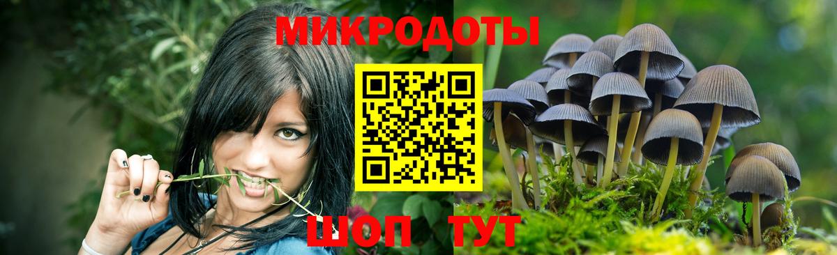 Галлюциногенные грибы мухоморы  Долгопрудный 